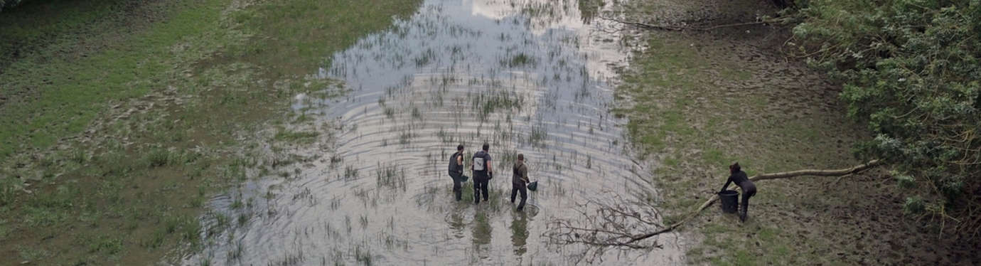 pêcheurs dans un cours d'eau