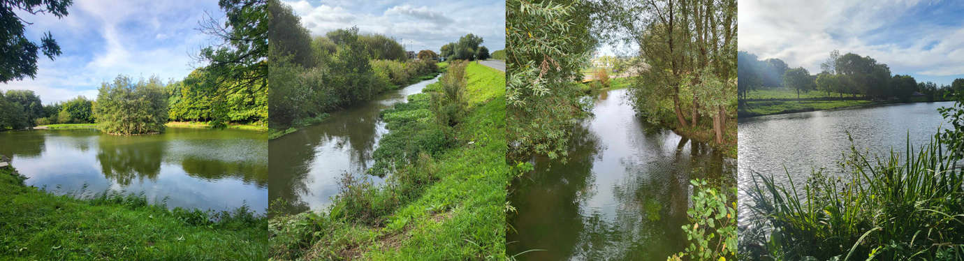 parcours AAPPMA de Gravenchon