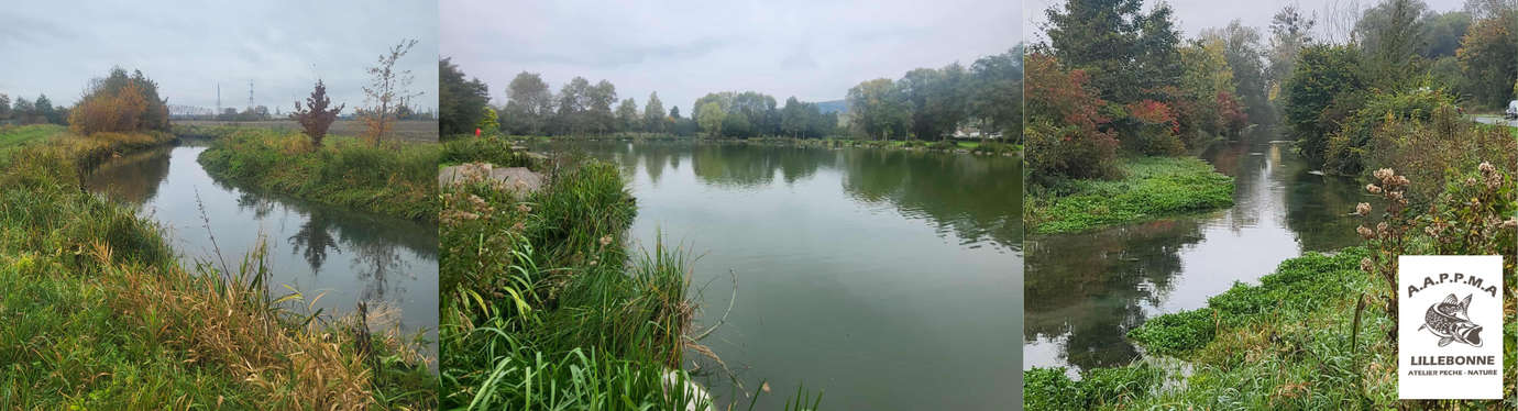 parcours AAPPMA Lillebonne