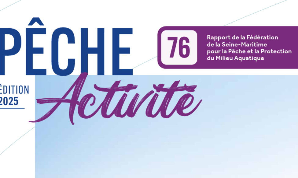 Rapport d'activité 2025 