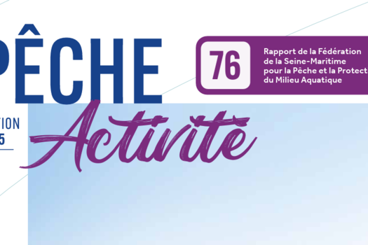 Rapport d'activité 2025 