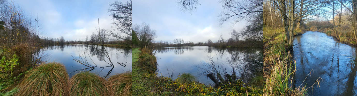 parcours AAPPMA Monchaux
